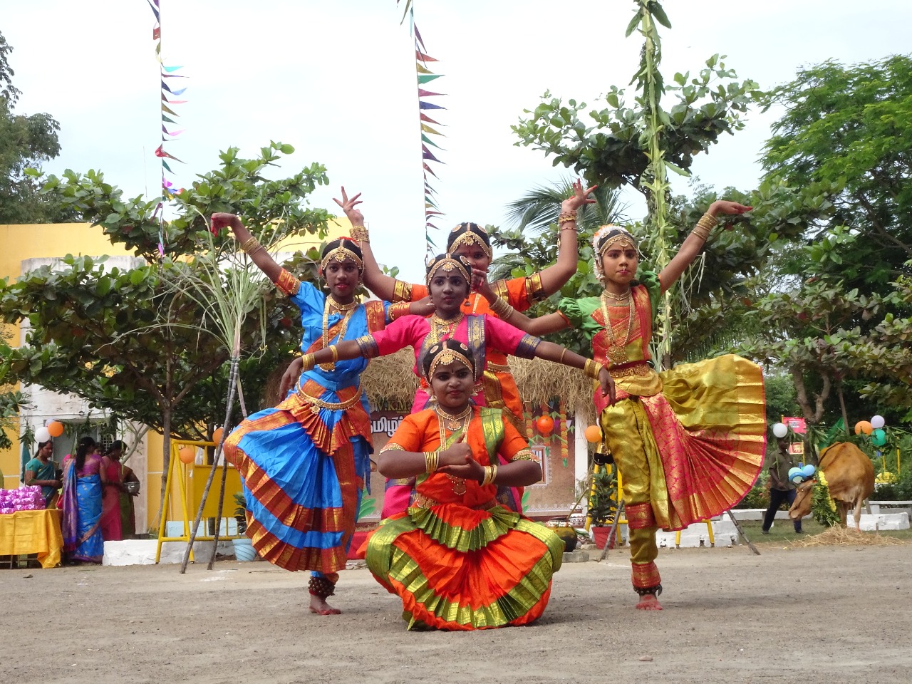 Traditional dance performance